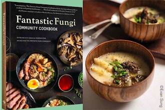 The Fantastic Fungi Community Cookbook - Online